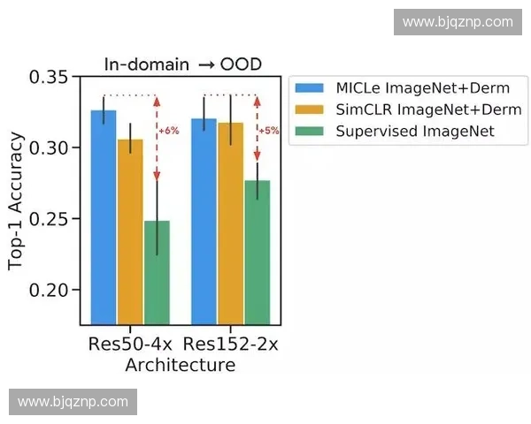基于冲刺梯度优化算法的深度学习模型训练效率提升研究与应用