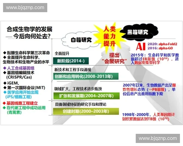 体育舆论监测体系的构建与应用研究:基于大数据与人工智能技术的分析方法