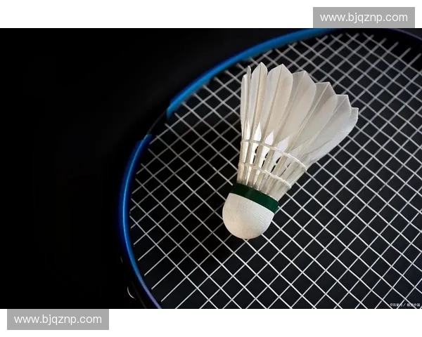 羽毛球技巧与训练方法解析 提升技术水平从基础到进阶全方位指导